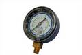 Replacement Lowside Gauge - Click to Purchase