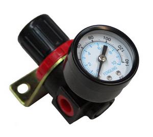 Envirosafe Regulator with Gauge Photo - Click to Enlarge